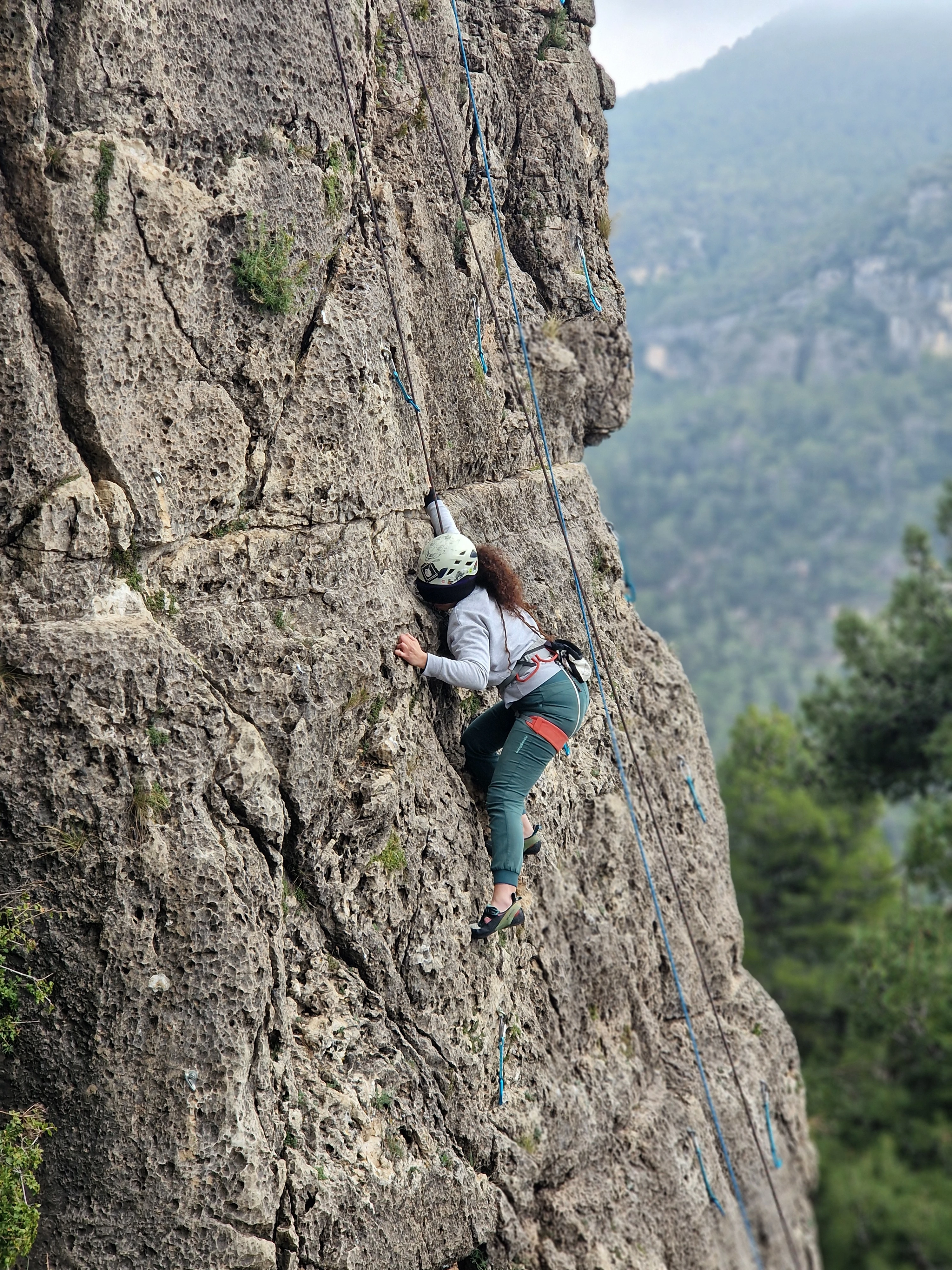 Imagen de actividad 12